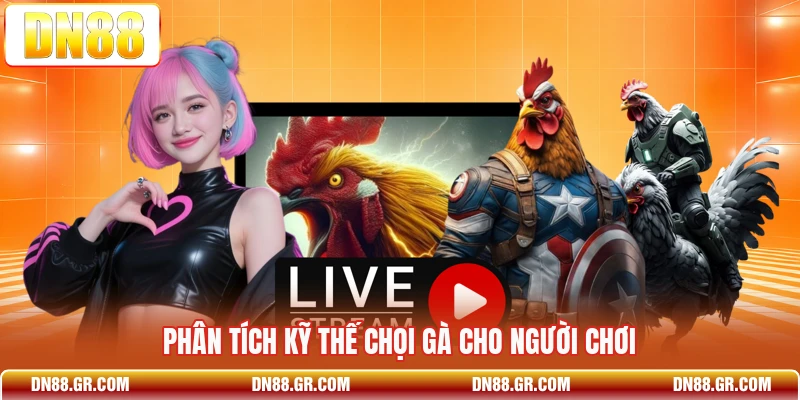 Phân tích kỹ thế chọi gà cho người chơi